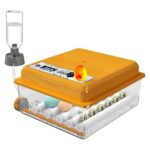 Top 10 der besten Brutkästen 2026