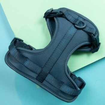 10 Der Besten Hundegeschirre 2025