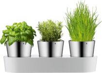 Top 10 Der Besten Kräutergärten 2026