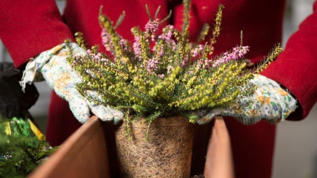 10 Der Besten Kräutergärten 2026